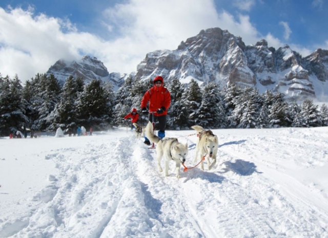  Führung des Mushing-Schlittens 